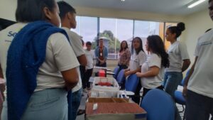 maquete